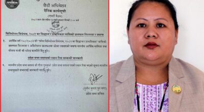 बेलायतबाटै प्रदेश सांसदबाट राजीनामा पठाएकी गीता गुरुङको पद चैट, संसदले दियो जानकारी