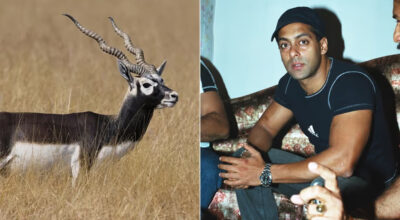 ‘कालो हरिण शिकार’ प्रकरण बल्झिने, सलमानसँगै यी कलाकार पनि तानिने