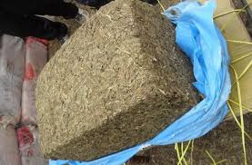 चमती र रानिवनबाट ५५ किलो गाँजा बरामद, एक जना पक्राउ