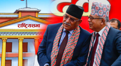 माधव नेपालले सम्धी पाण्डेलाई दिए राष्ट्रिय सभाको टिकट