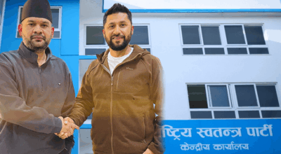 नवनिर्वाचित सांसदलाई रास्वपाले अभ्यास र तालिम दिने