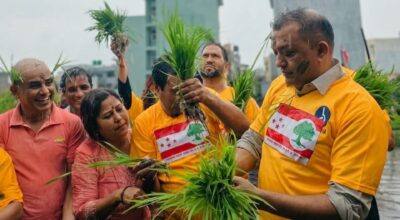 राष्ट्रिय धान दिवसमा गगन थापाको शुभकामना : किसानको सम्मान, कृषि आधुनिकीकरण र खाद्य आत्मनिर्भरतामा जोड