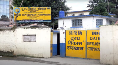 डीडीसीले दुग्ध सहकारी र निजी फार्मलाई साउन मसान्तभित्र सम्पर्क गर्न आग्रह
