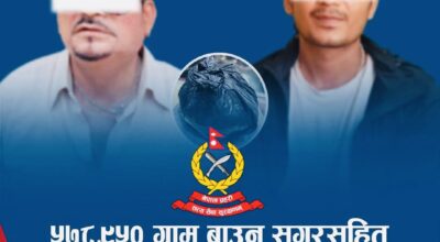 नेपालगञ्जबाट ७५८.५५० ग्राम ब्राउन सुगरसहित दुई जना पक्राउ