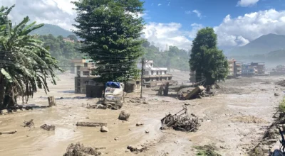 नुवाकोटको विदुरमा ४ शव फेला, प्रहरीद्वारा पुष्टि